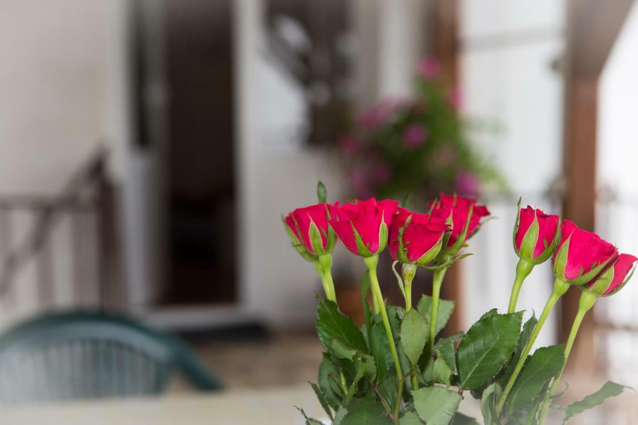 Apartman Antea Otočac Buitenkant foto